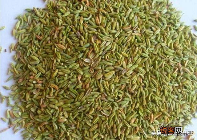 烧菜料有什么香料？