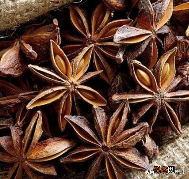 烧菜料有什么香料？