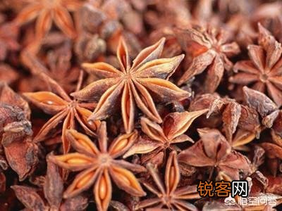 基础的香料有哪些,各自的作用是什么？