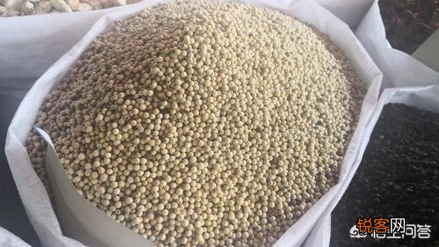 基础的香料有哪些,各自的作用是什么？