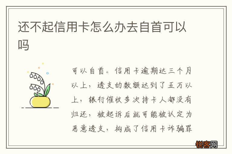 还不起信用卡怎么办去自首可以吗