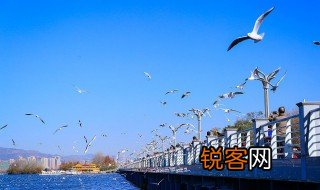 云南的省会是哪个城市 哪里是云南的省会