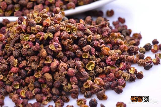 有哪些能作为“君料”的食用香料？它们能成为“君料”的原因是什么？