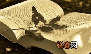 菊暗荷枯一夜霜新苞绿叶照林光的意思 菊暗荷枯一夜霜新苞绿叶照林光的解释