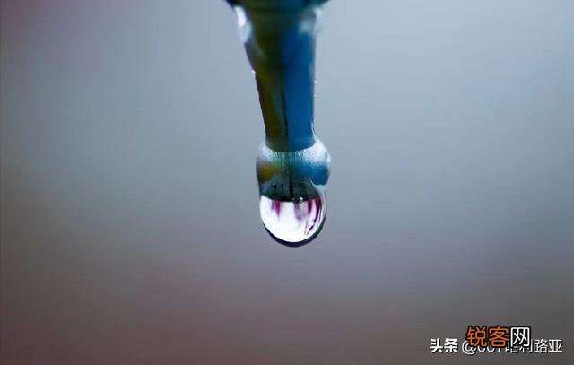 现在有哪些很火的社交电商？