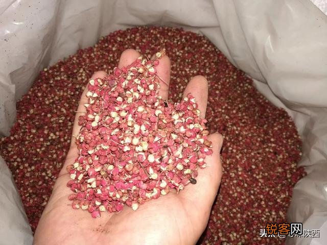 哪些香料不能炒,哪些香料需要提前炒制？