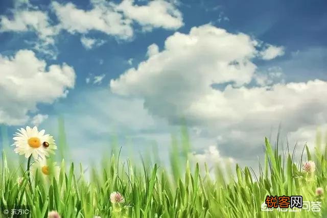 有哪些使人听了感动得哭了的情歌？