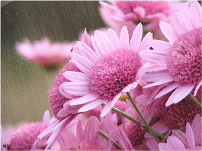 有哪些使人听了感动得哭了的情歌？