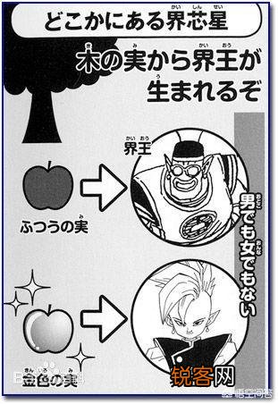 《龙珠》中界王神和破坏神是怎么诞生的？