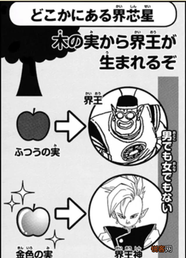 《龙珠》中界王神和破坏神是怎么诞生的？