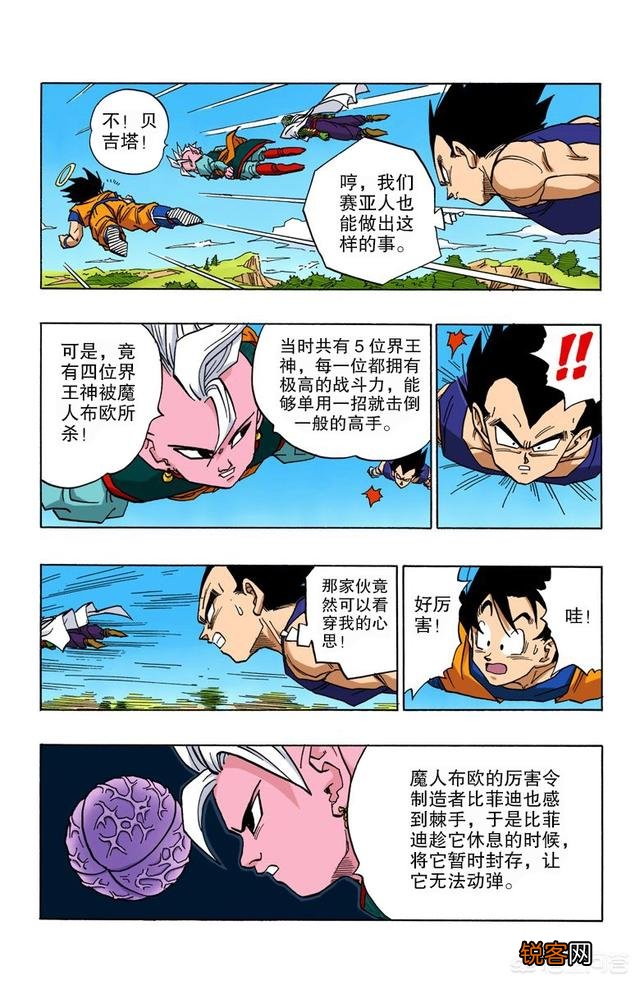 《龙珠》中,界王神的实力是个什么水平？