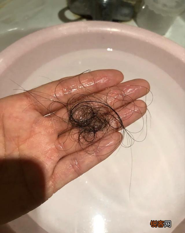 你用过几款洗发水？感觉哪款最好用？