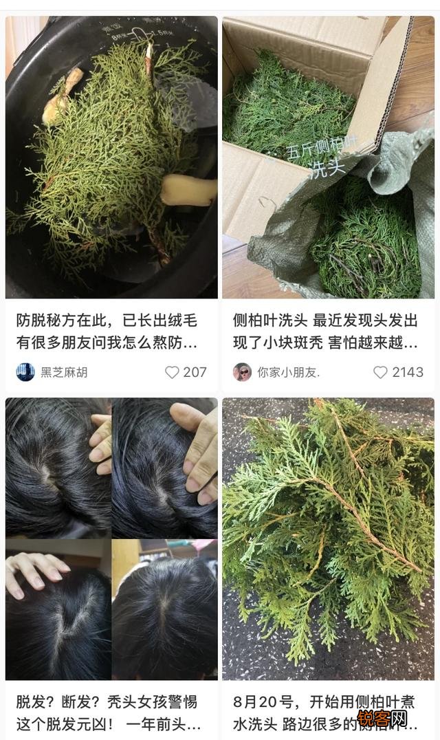 你用过几款洗发水？感觉哪款最好用？