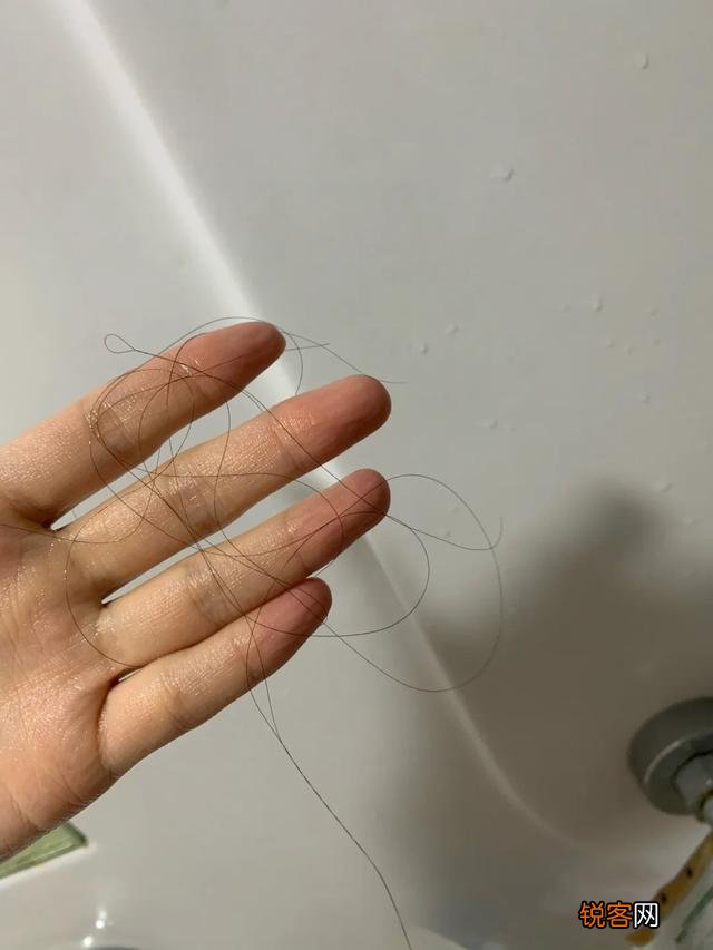 你用过几款洗发水？感觉哪款最好用？