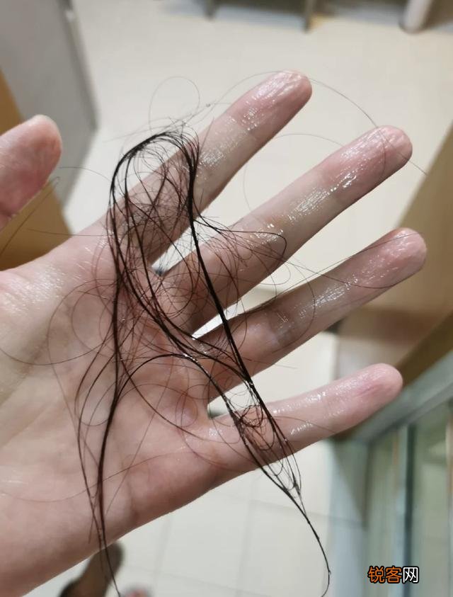 你用过几款洗发水？感觉哪款最好用？