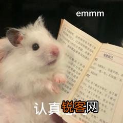 你用过几款洗发水？感觉哪款最好用？