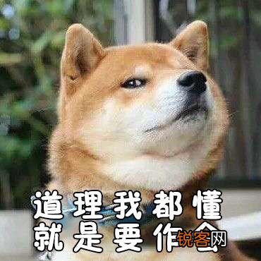 你用过几款洗发水？感觉哪款最好用？