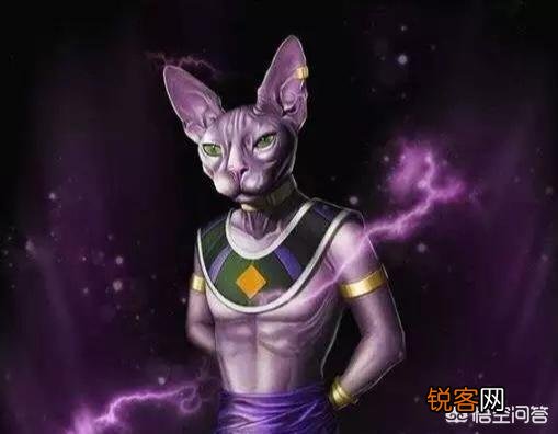 《龙珠》：超级赛亚人之神只有两个,比鲁斯梦到的人,到底是不是悟空？为什么？