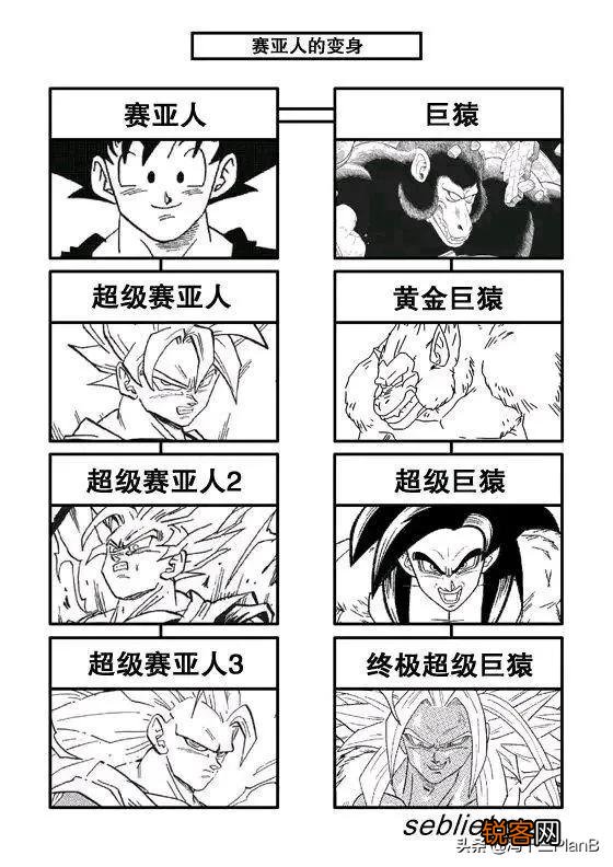 《龙珠》超级赛亚人到底有几种进化方向,神之领域之外,还有什么？