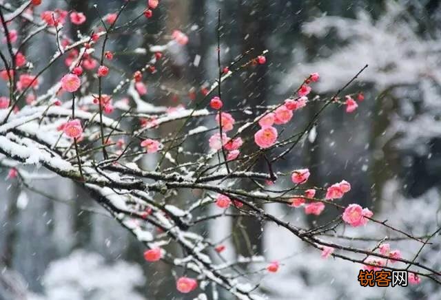 今年冬天冷的迟,对来年的农业影响大吗？