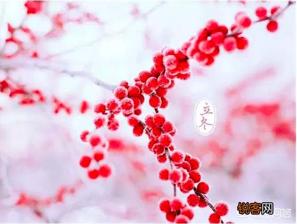 立冬到了,农村老谚语“立冬晴,一冬凌”是啥意思？今年是冷冬吗？