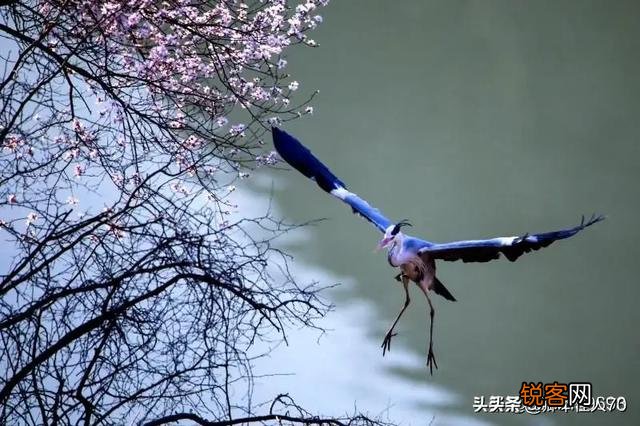如何以《家》为题,看图作一首诗？