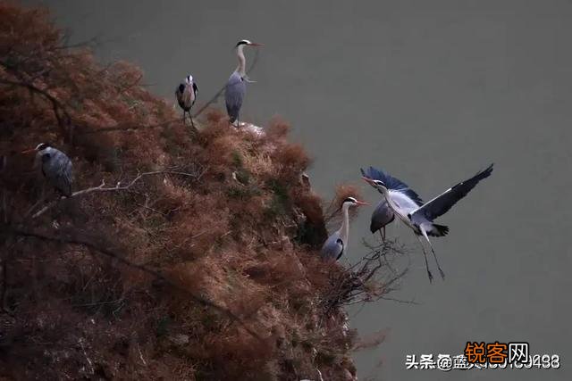 如何以《家》为题,看图作一首诗？