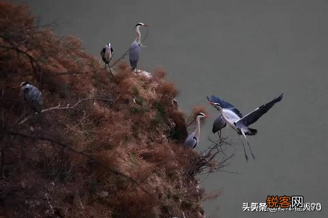 如何以《家》为题,看图作一首诗？