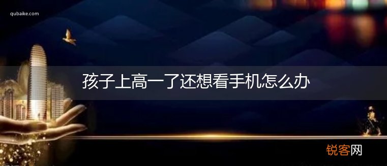 孩子上高一了还想看手机怎么办