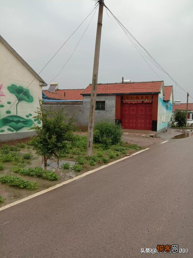 你们家乡现在风景美吗？分享一下田间地头好吗？