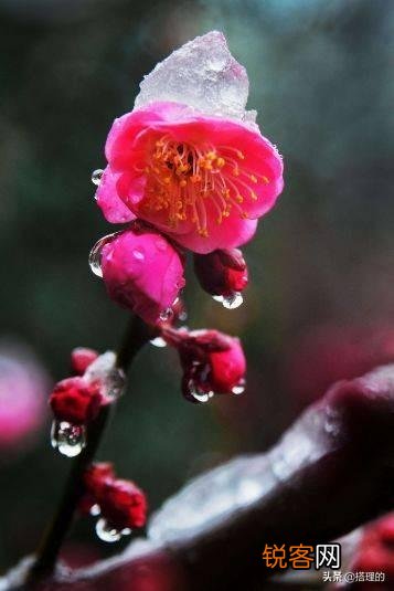 你最喜欢的形容冬天的句子是什么？