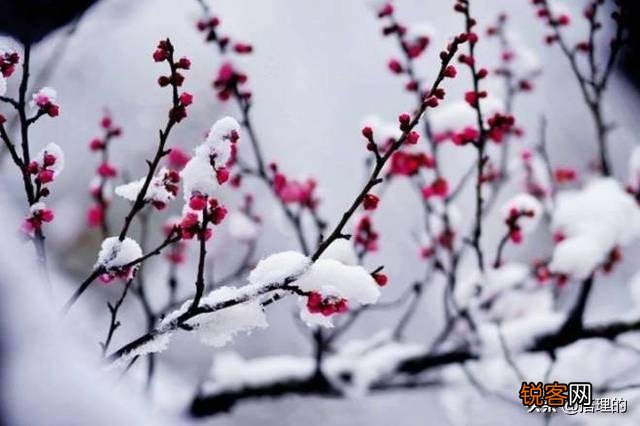 你最喜欢的形容冬天的句子是什么？