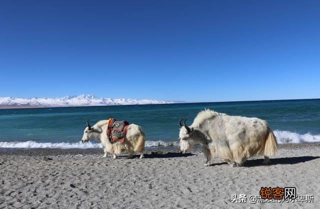说说你最向往的中国最美十大风景名胜区？