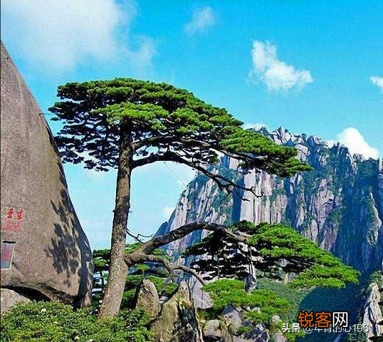 说说你最向往的中国最美十大风景名胜区？