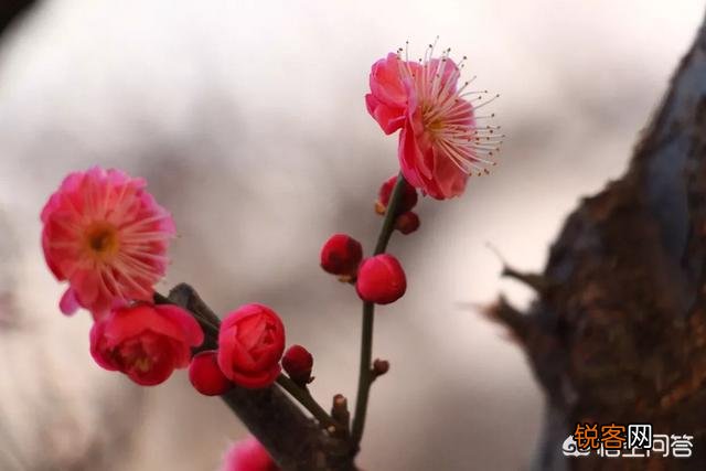 你写过诗吗？怎么写的？