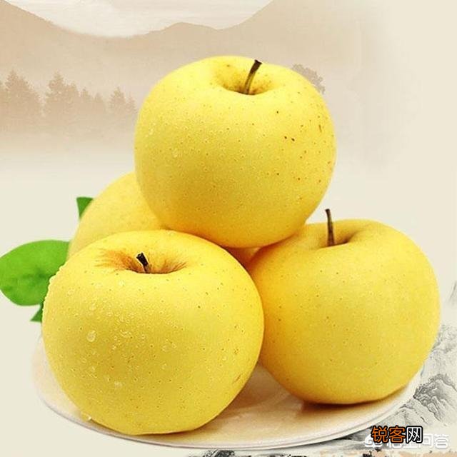 想发展苹果,种植什么品种合适呢？
