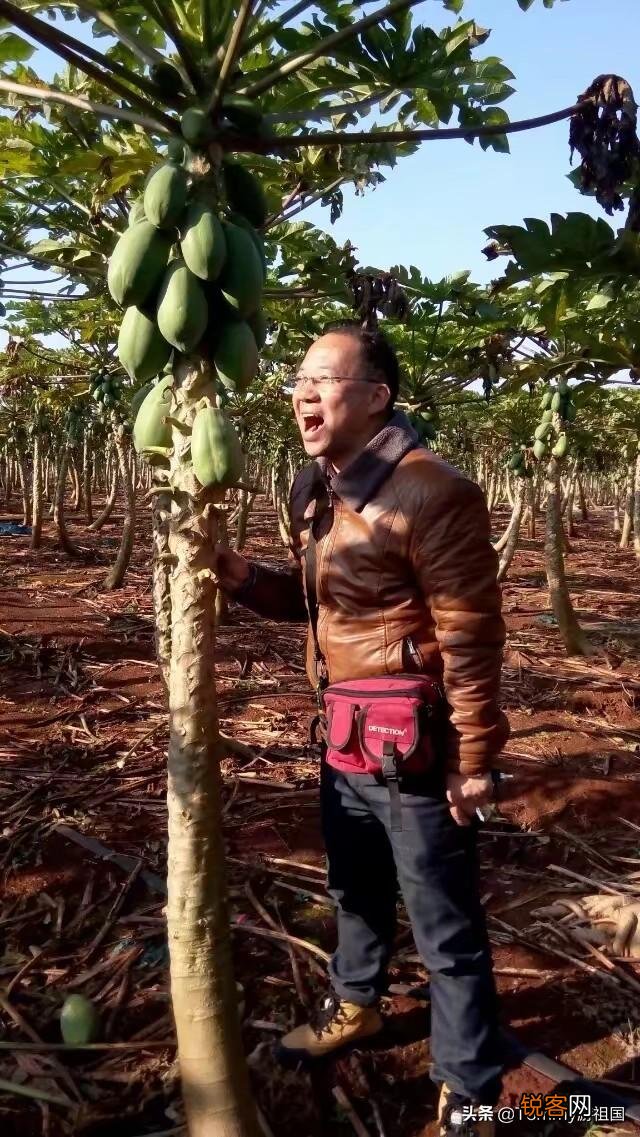 中国哪个城市风景优美,气候宜人？