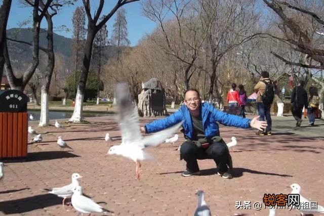 中国哪个城市风景优美,气候宜人？