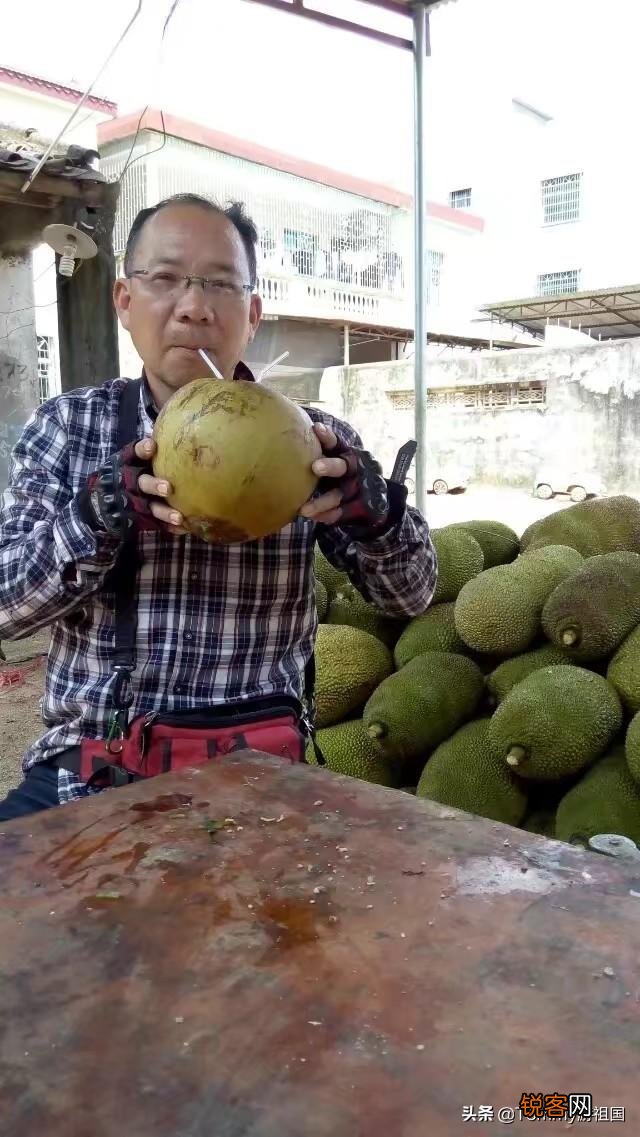 中国哪个城市风景优美,气候宜人？