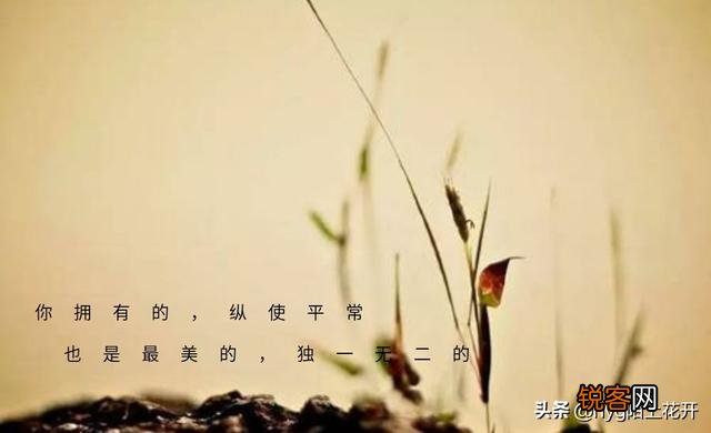 世间好物不坚牢,彩云易散琉璃脆。真是这样的吗？