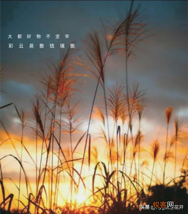 世间好物不坚牢,彩云易散琉璃脆。真是这样的吗？
