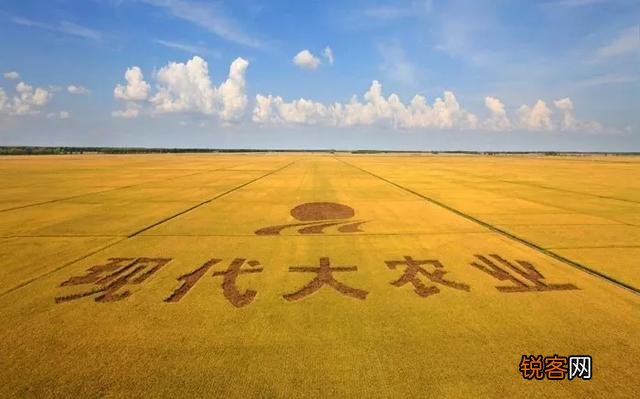 为什么感觉有些东北人即使没有那么有钱,但还活的那么开心？
