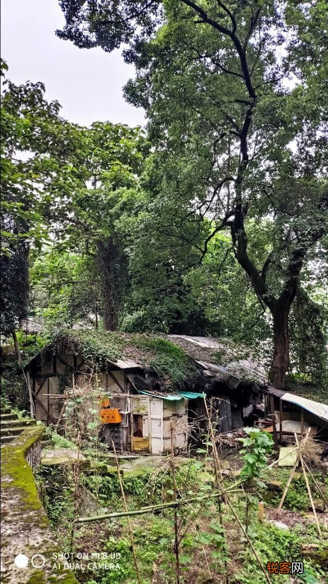 2020年,你拍的最好的家乡照片是哪一张？