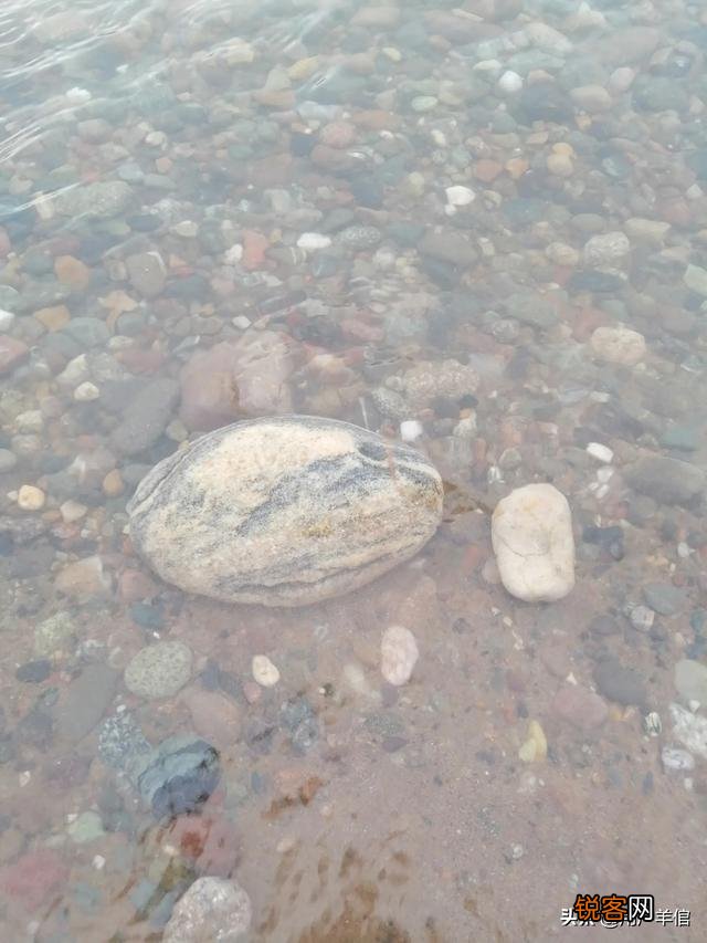 2020年,你拍的最好的家乡照片是哪一张？