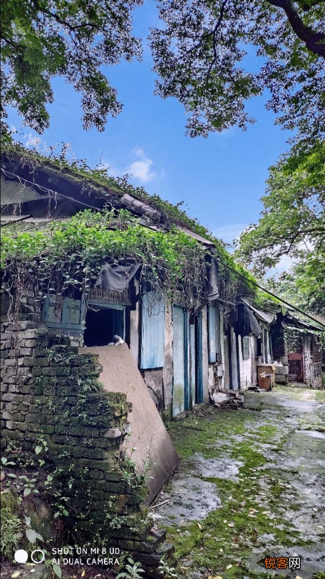 2020年,你拍的最好的家乡照片是哪一张？