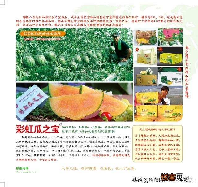 蔬菜怎么种才能种的好？
