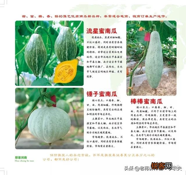 蔬菜怎么种才能种的好？