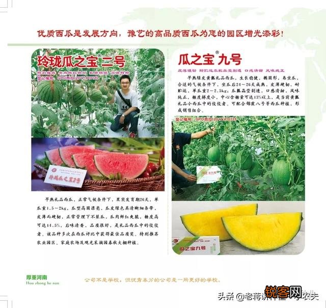 蔬菜怎么种才能种的好？
