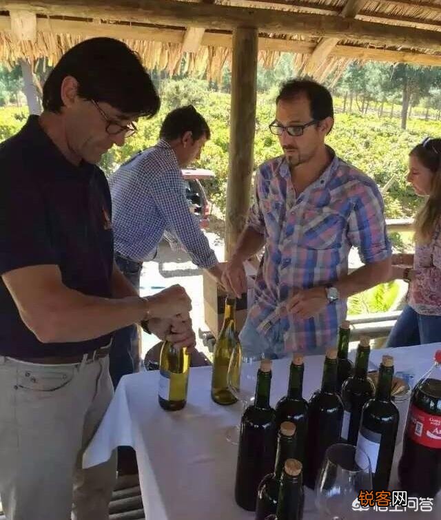 你知道哪些国家出葡萄酒？