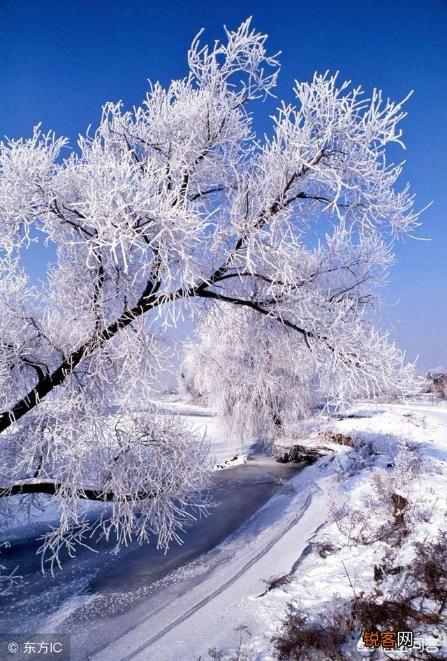 你喜欢雪吗？为什么？